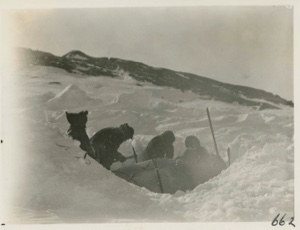 Image: Digging out 